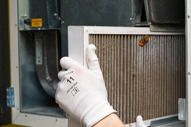 Best Professional Duct Cleaning Services  in Placentia, CA