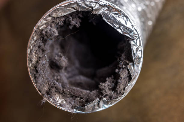 Best Air Duct Cleaning Near Me  in Placentia, CA