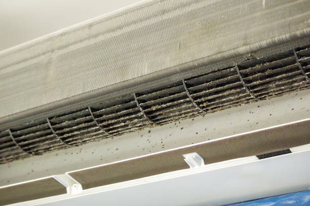 Best Residential Air Duct Cleaning  in Placentia, CA